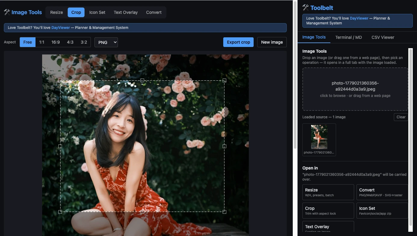 Toolbelt image crop tool in the Chrome side panel